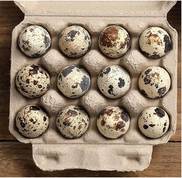 All About Eggs