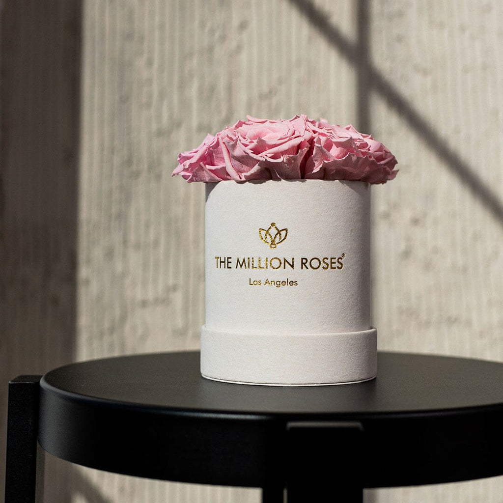 Essence Beige Suede Box | Light Pink Roses