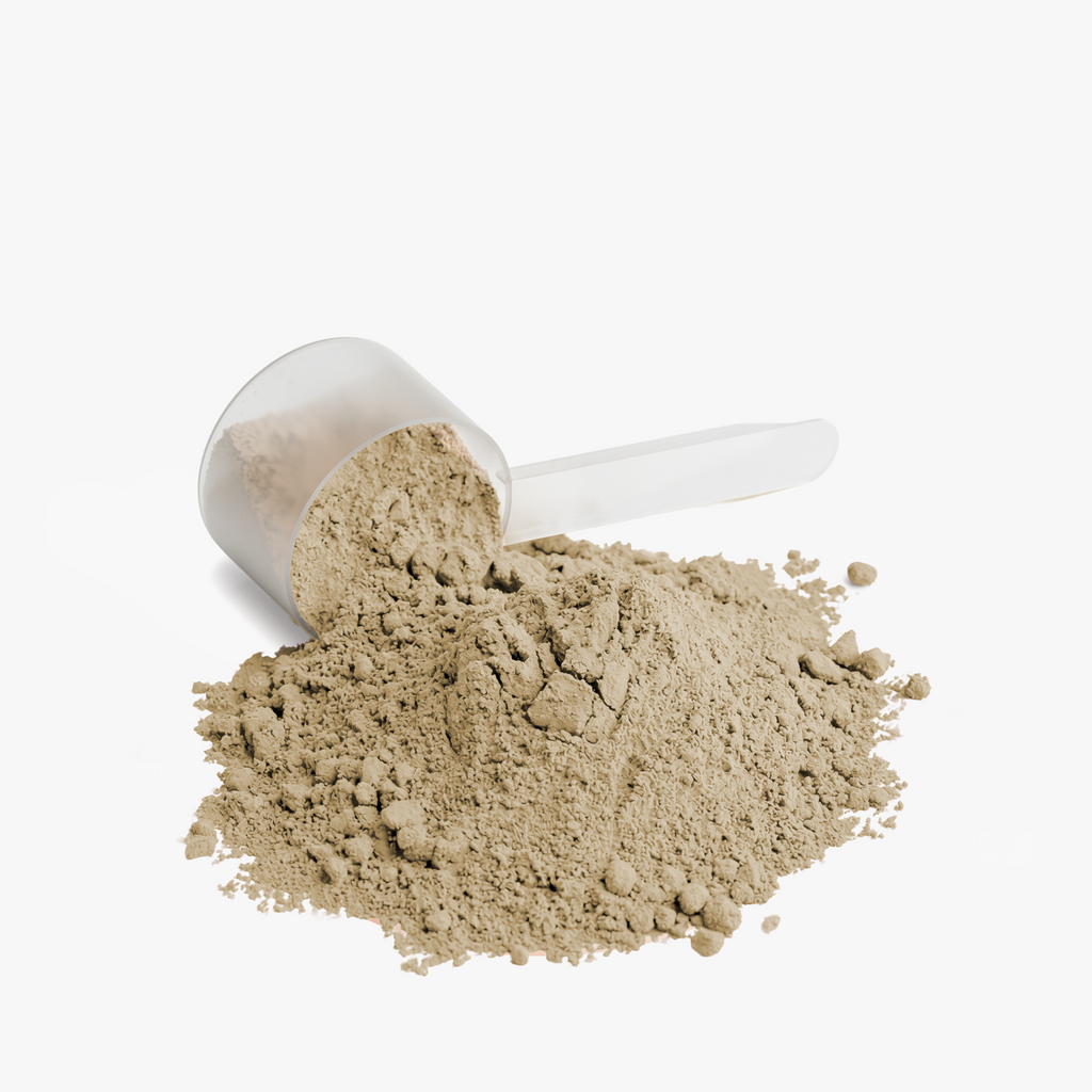 Vanilla Plant Protein Powder