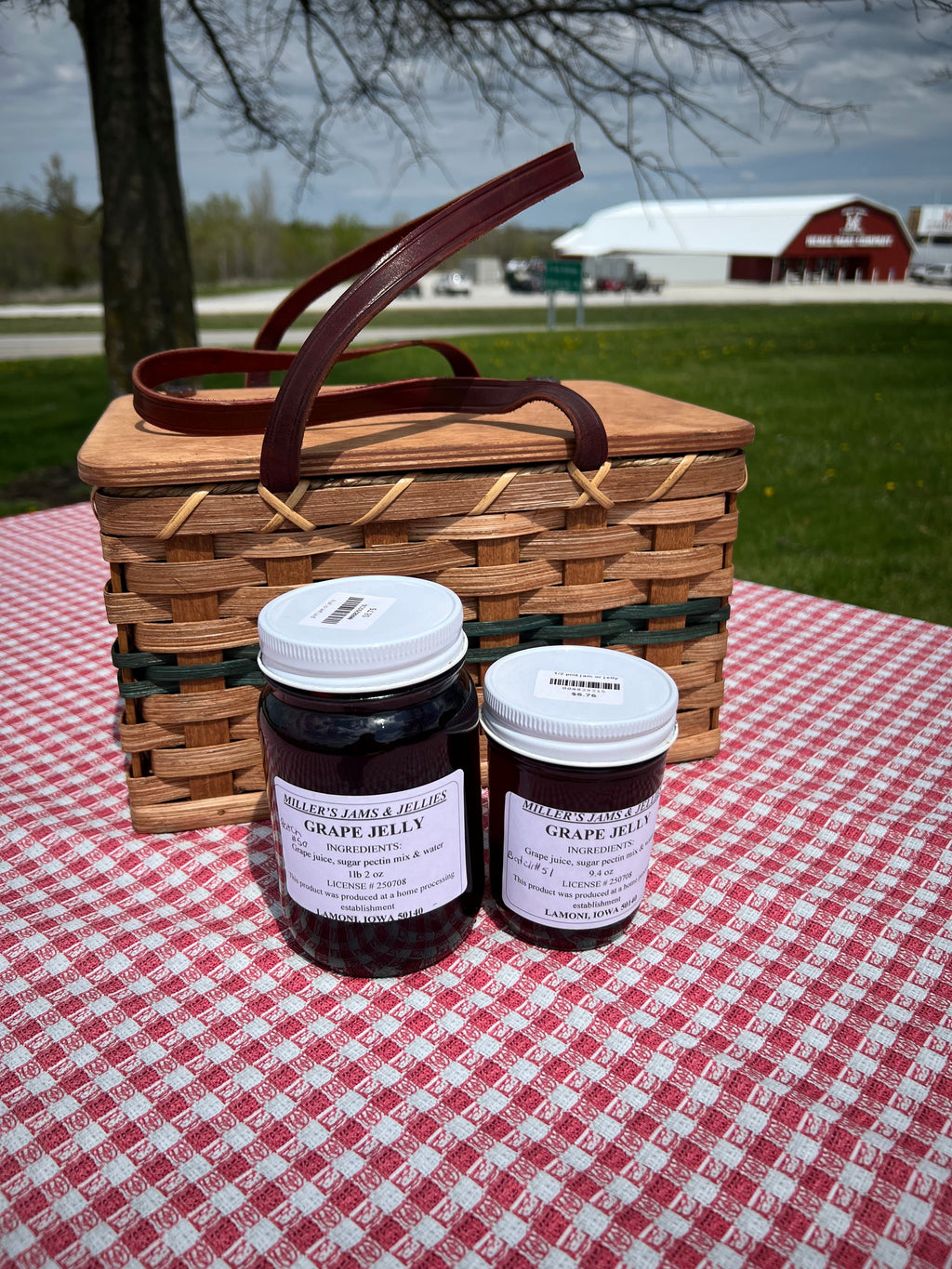 Miller’s Grape Jelly | Authentic Local Amish-Made Spread