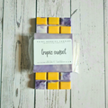 Tropic Sunset | Bom Dia Bright Cheirosa 40 Inspired Wax Melts