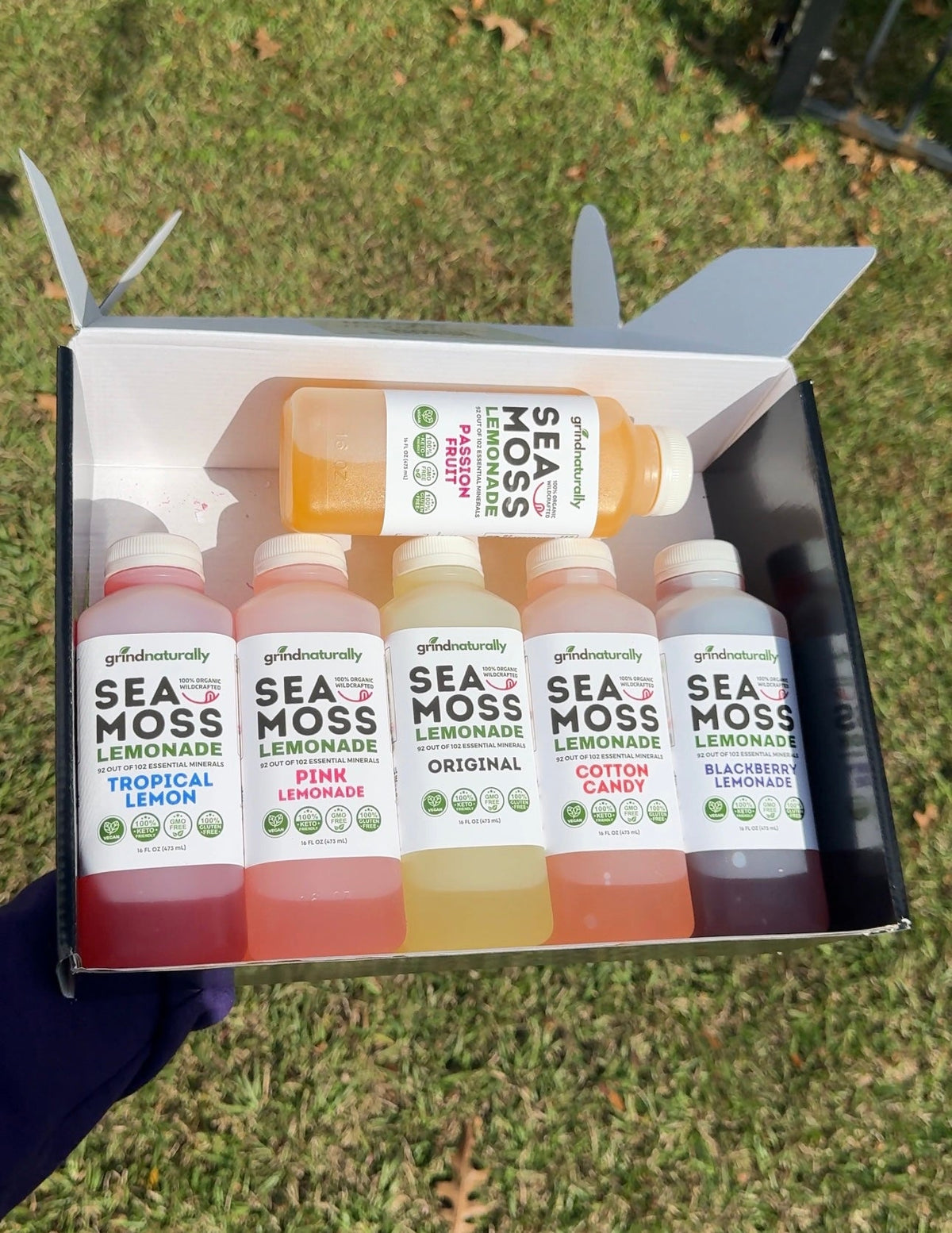 Box of Sea Moss lemonade bottles on grass #1 Flavored Sea Moss Lemonade (16oz)