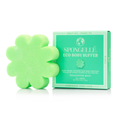 Eucalyptus Mint | Eco Body Buffer