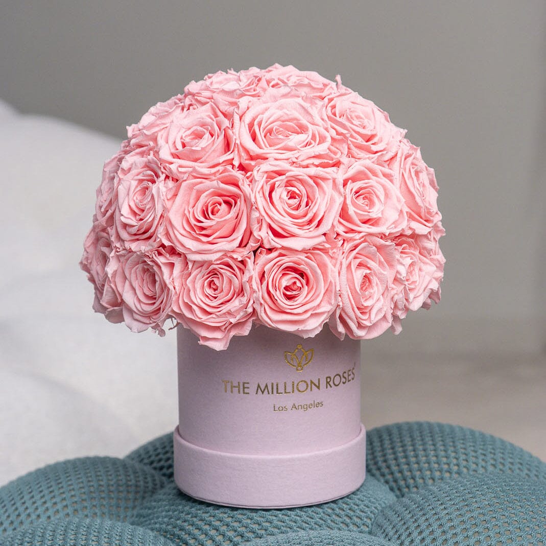 Essence Light Pink Suede Superdome Box | Light Pink Roses