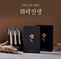 Freeze-dried 5-Year-Old Wild Ginseng with Gift Box (Large, 3 roots)
