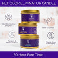 All Natural Soy Wax - Pet Odor Eliminator Candle