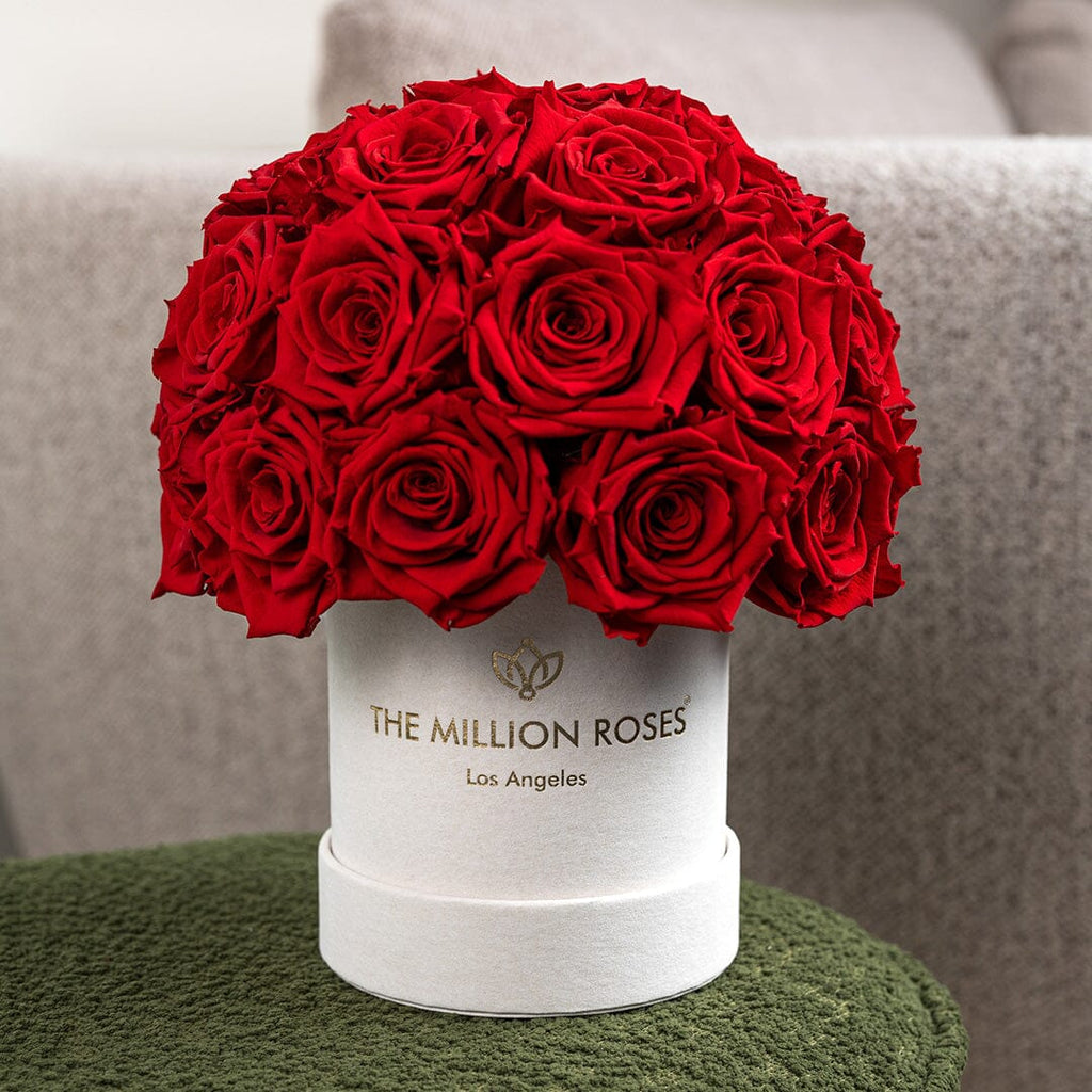 Essence Beige Suede Superdome Box | Red Roses