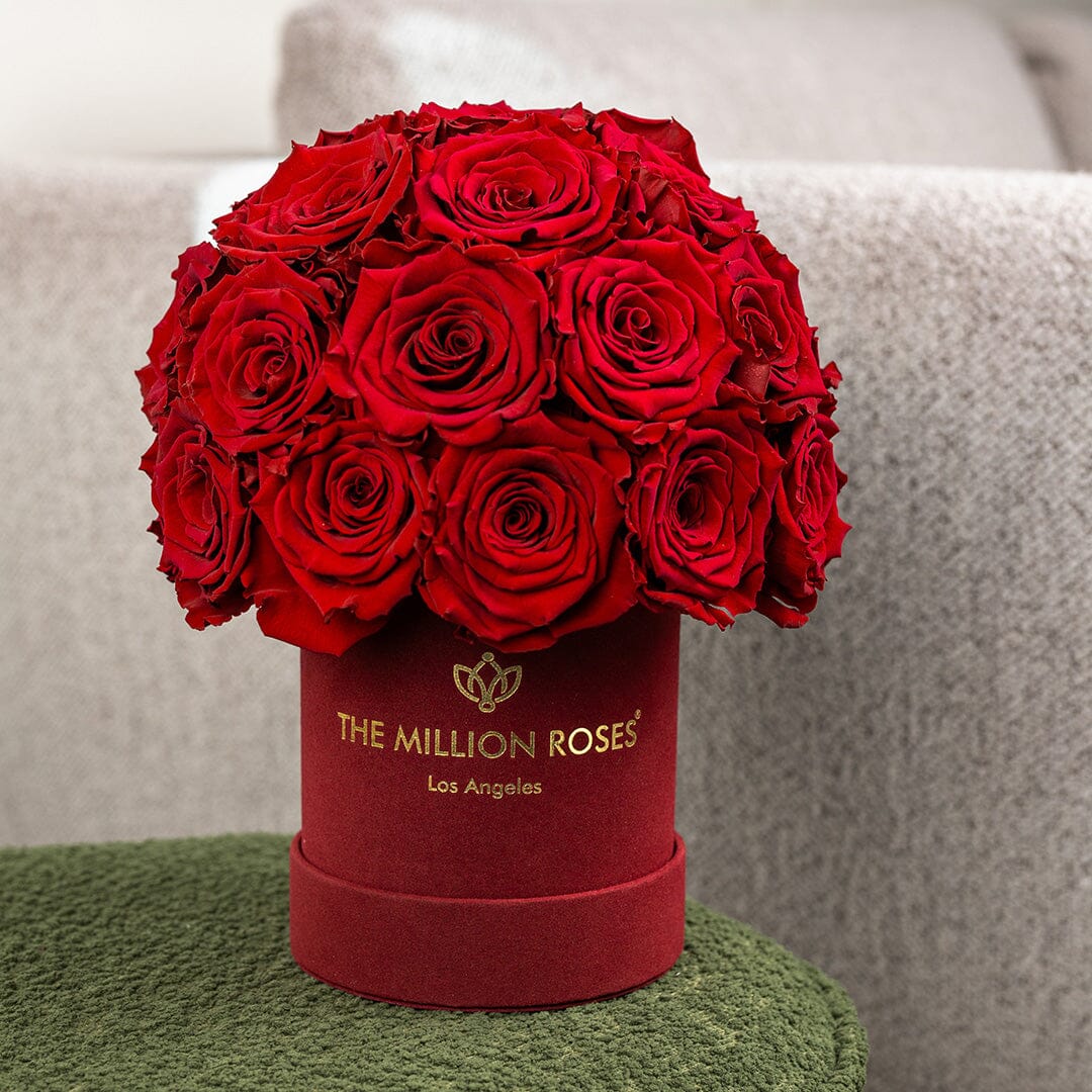 Essence Bordeaux Suede Superdome Box | Red Roses