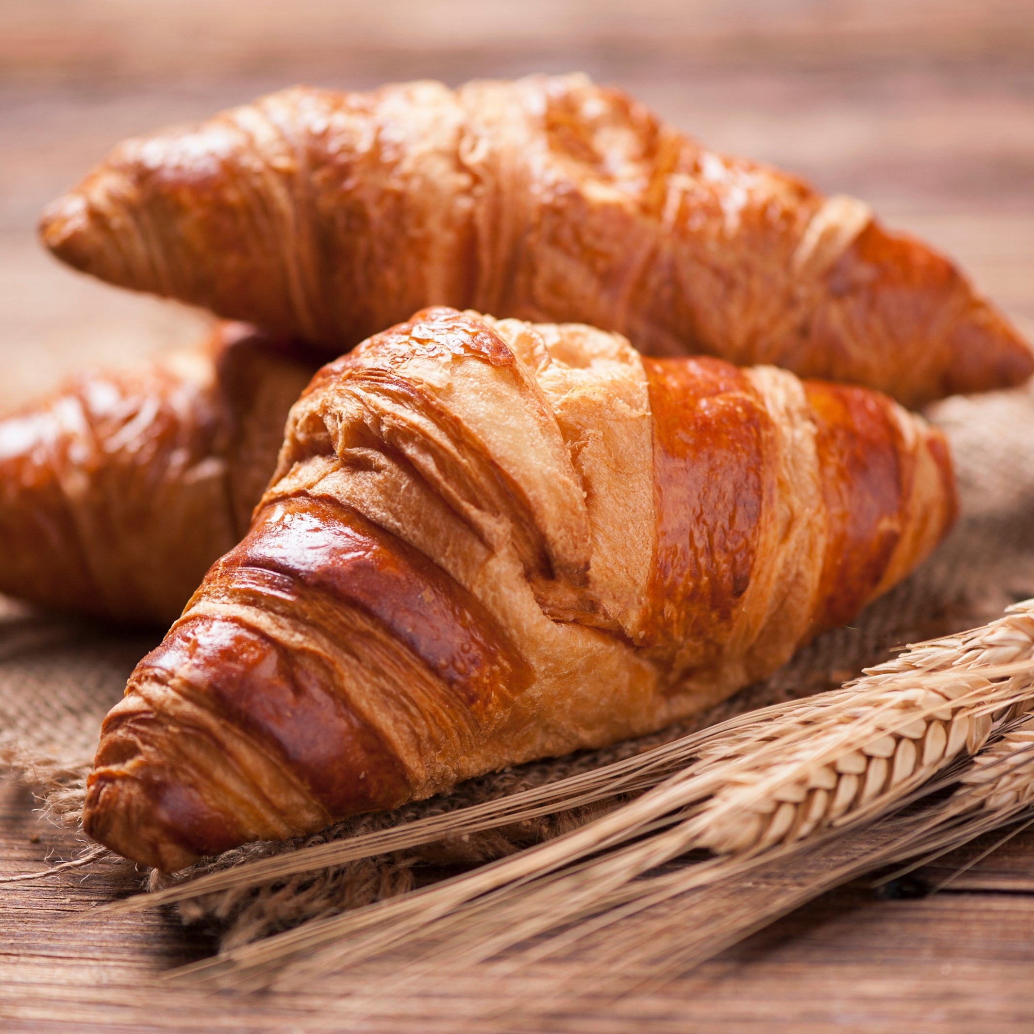 Pastry Cream Filled Croissant Take and Bake Pastries