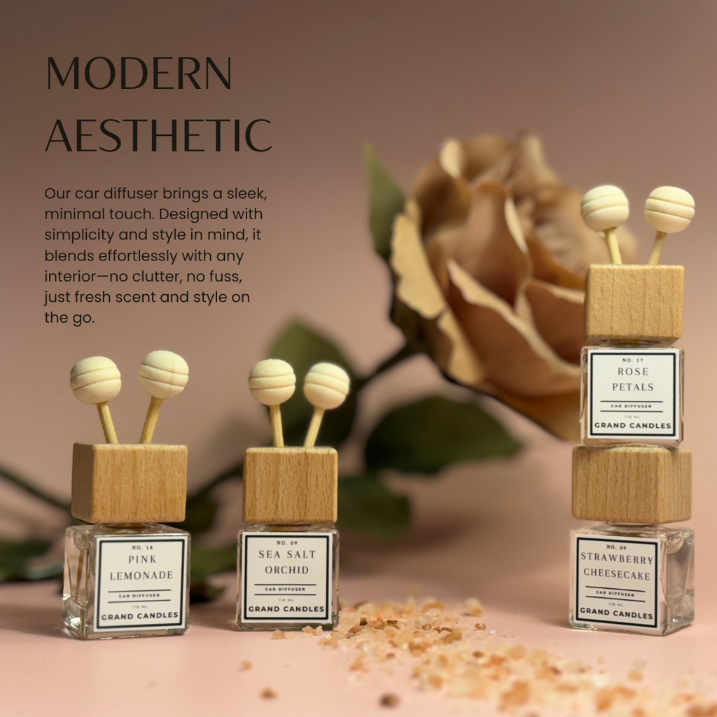 White Eucalyptus Car Diffuser