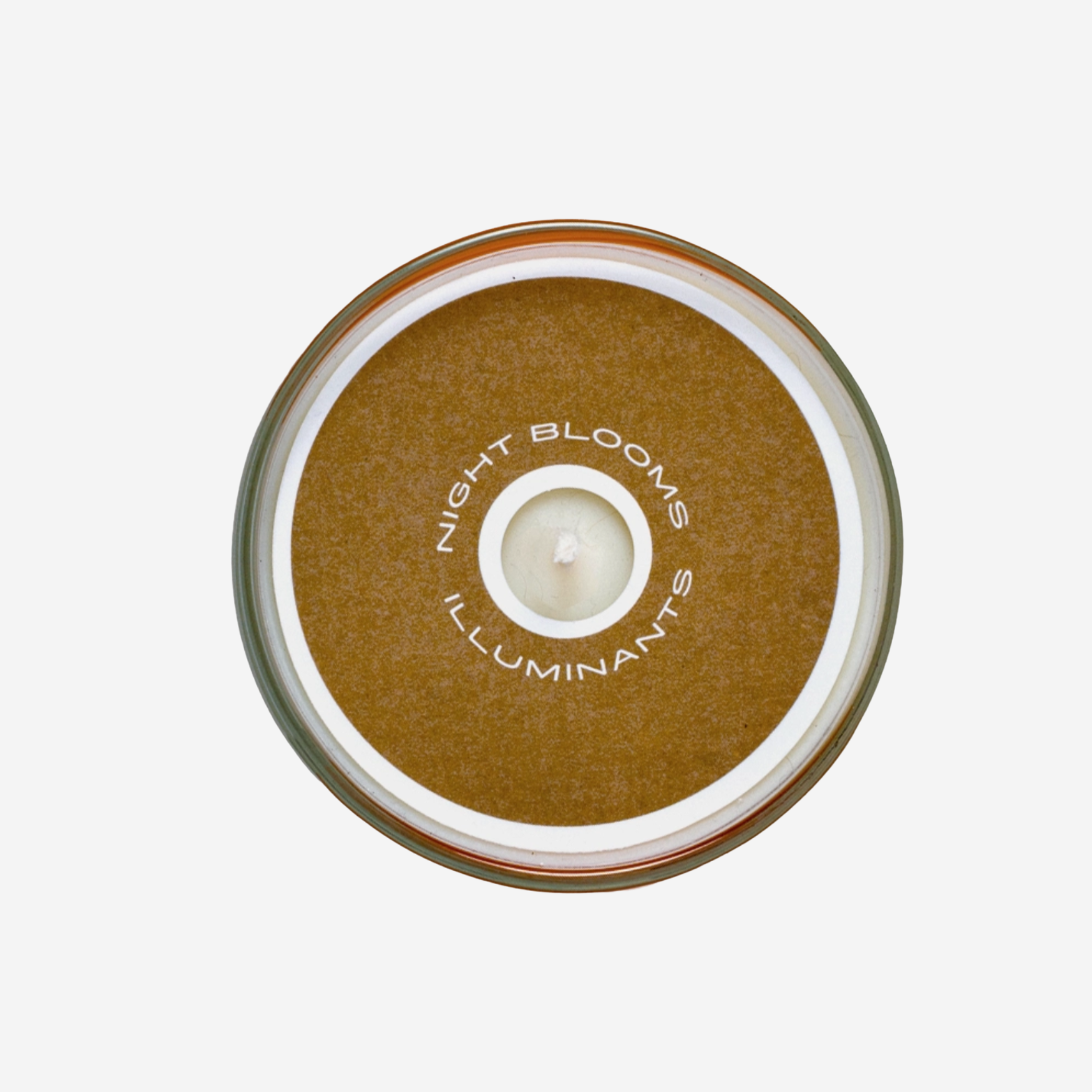 Prickly Wild Rose Candle - 8 oz