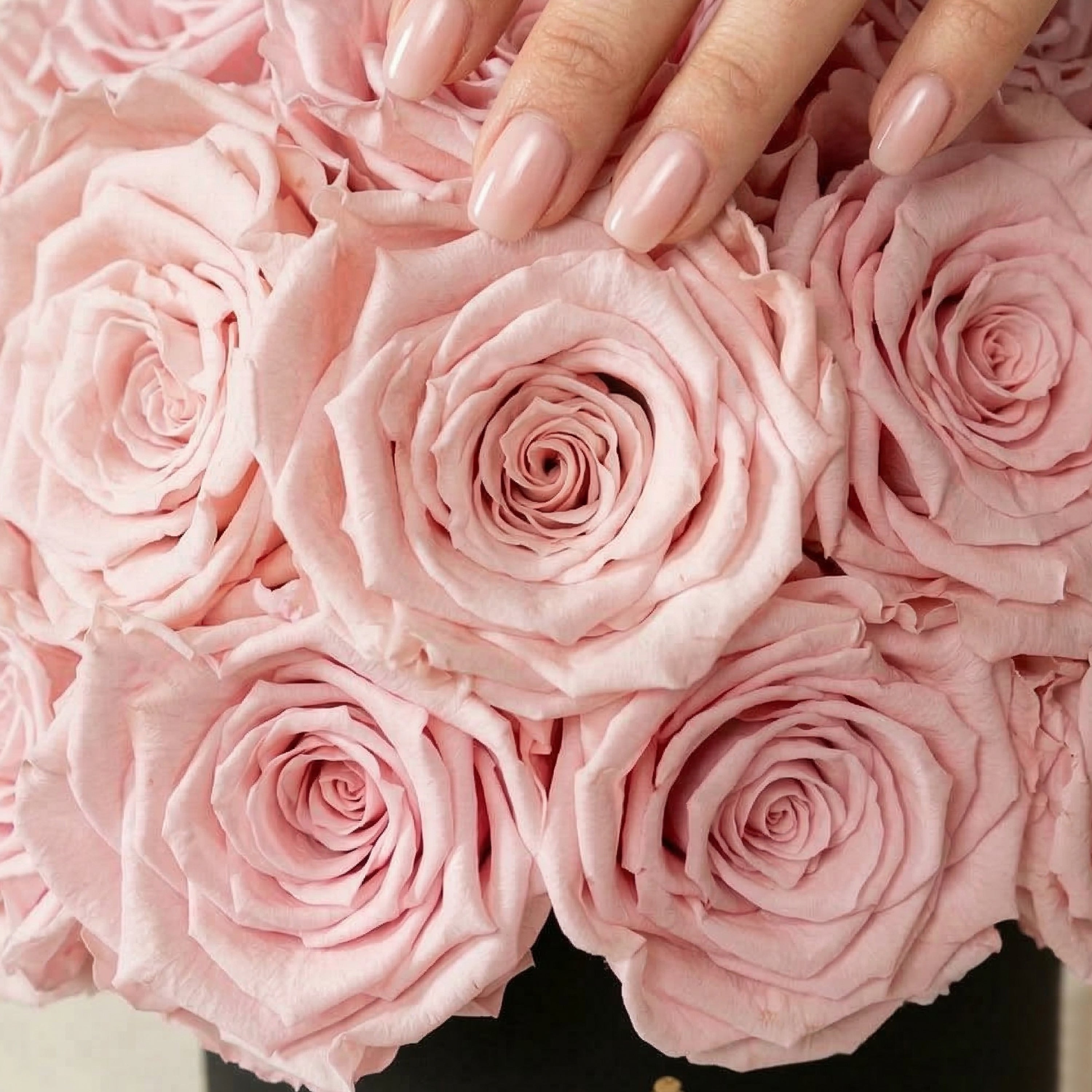 Essence Black Superdome Box | Light Pink Roses