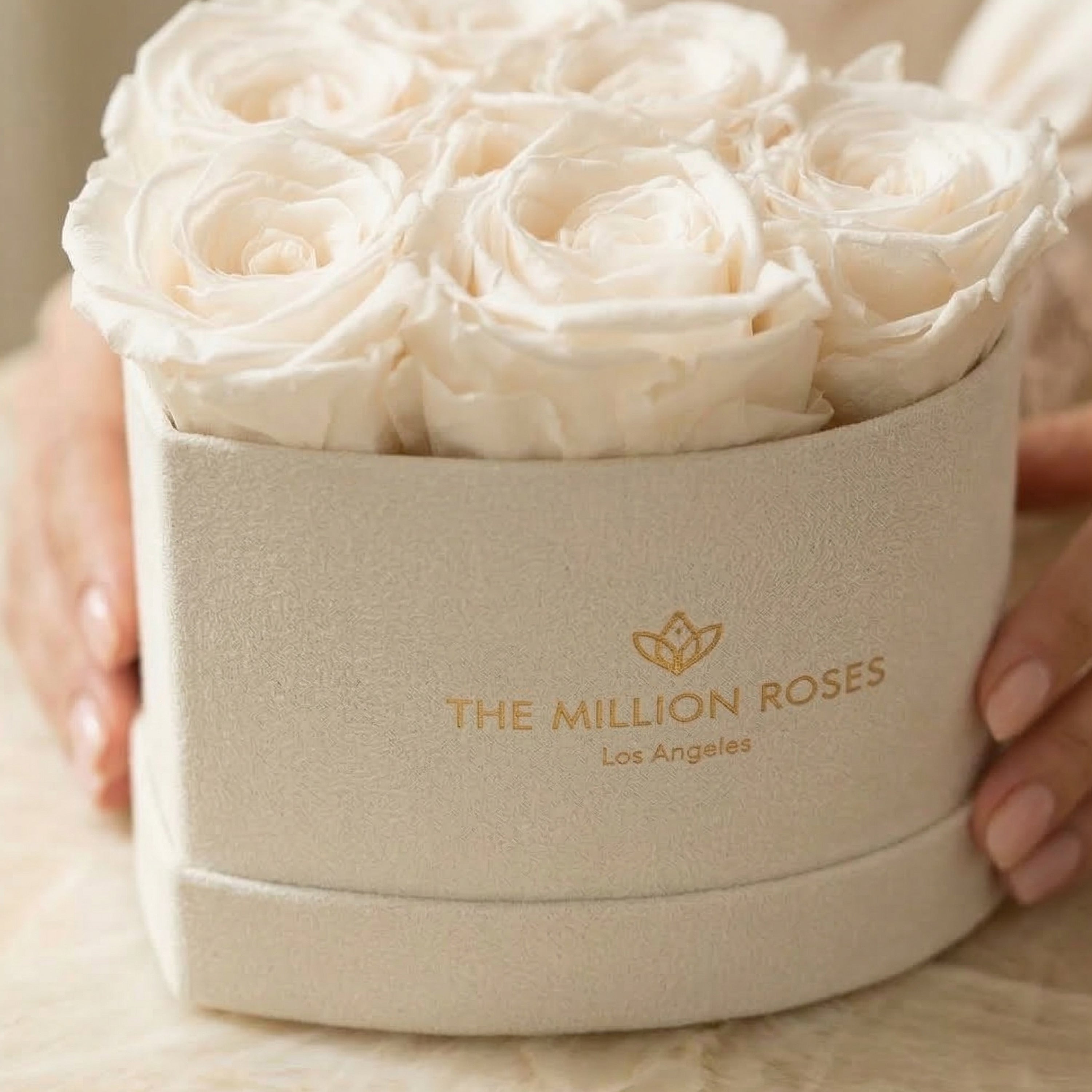 Baby Heart Beige Box | White Roses