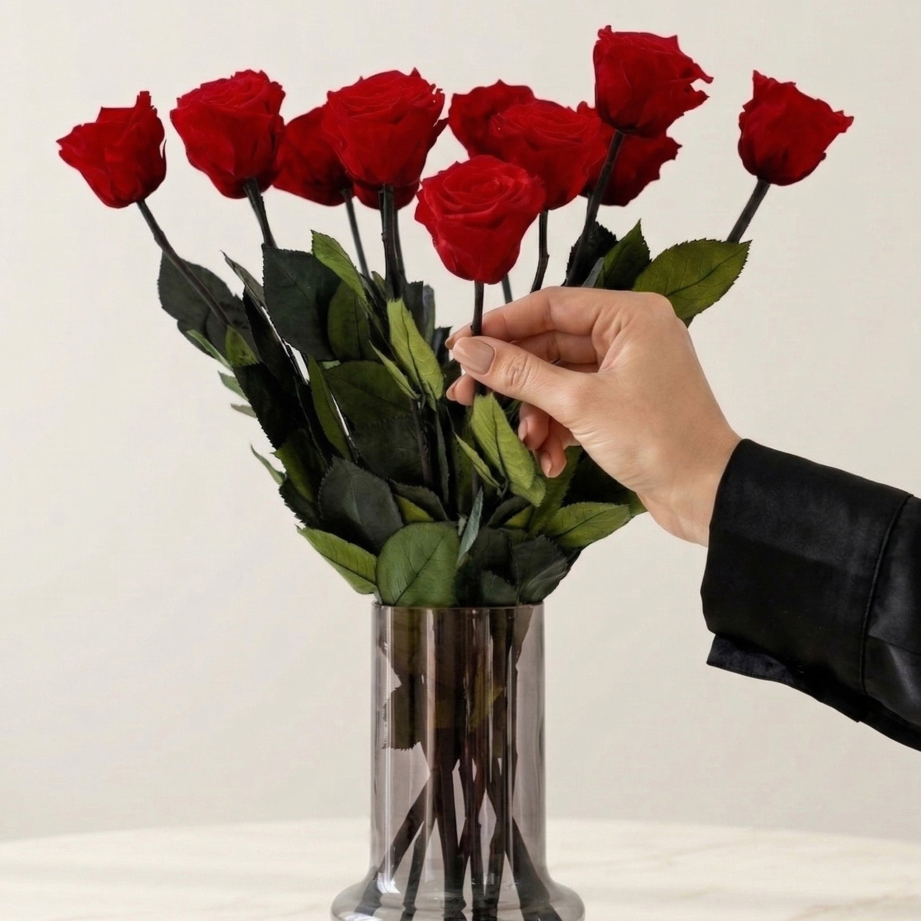 Long Stem Roses | Red Roses