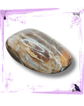 Petrified Wood - Tumbled