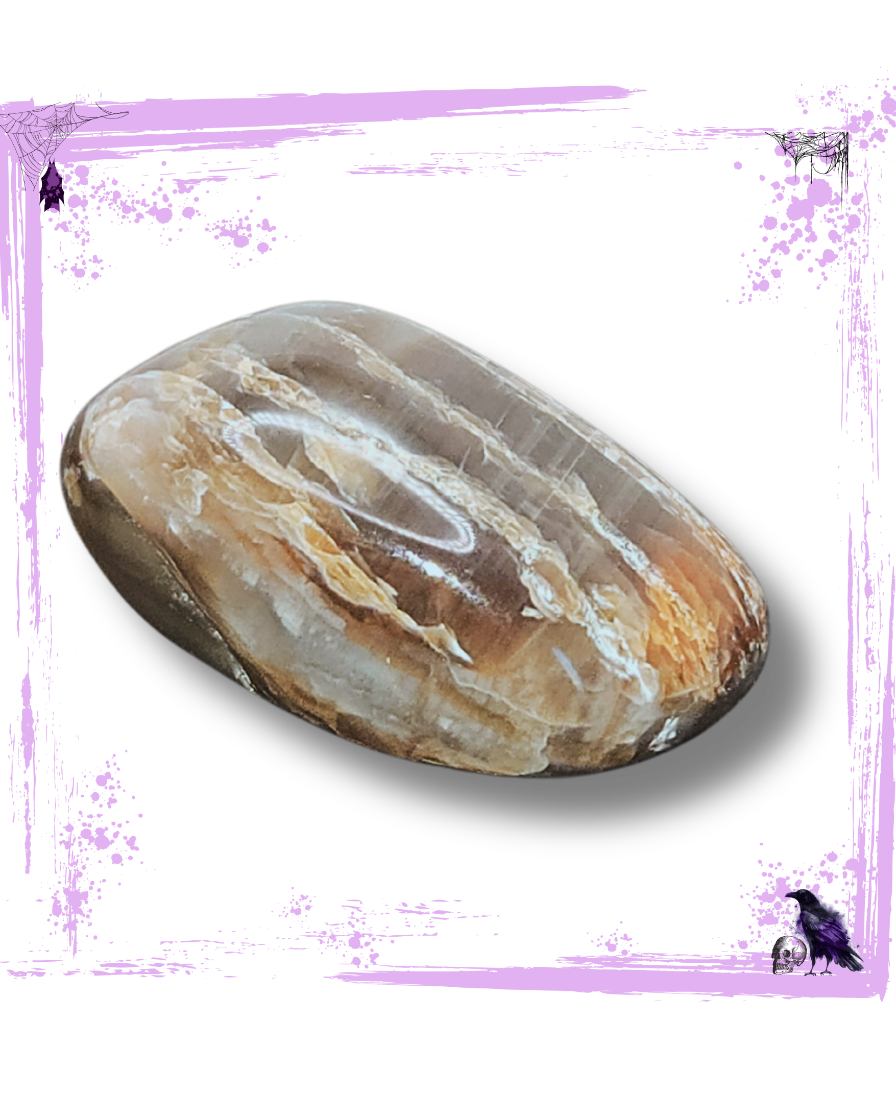 Petrified Wood - Tumbled