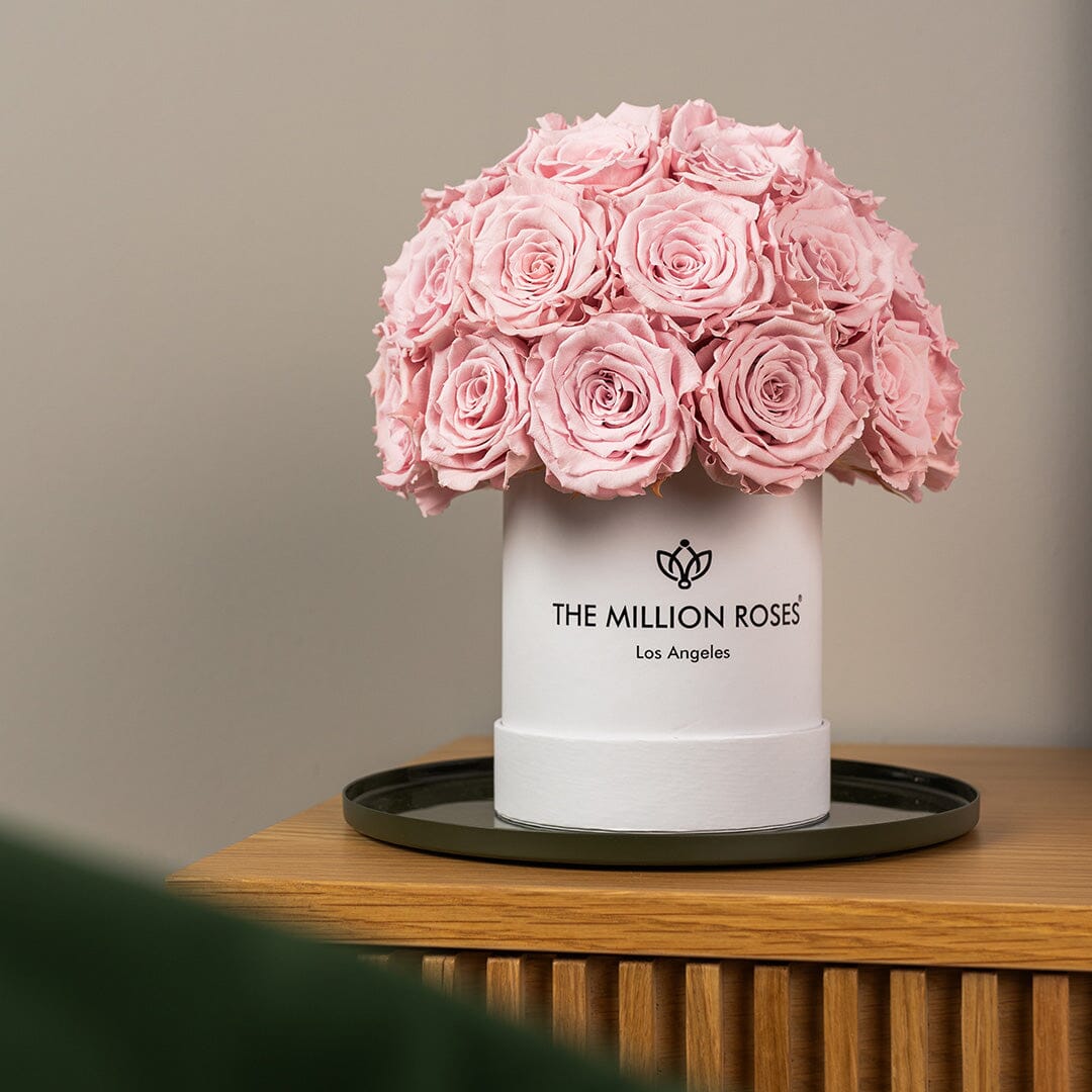 Essence White Superdome Box | Light Pink Roses