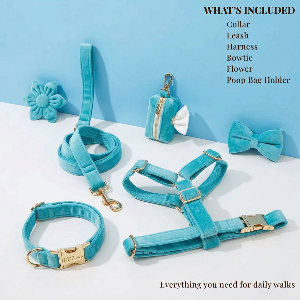 Teal pet accessory set including collar, leash, harness, bowtie, flower, and poop bag holder on a white surface with blue background.