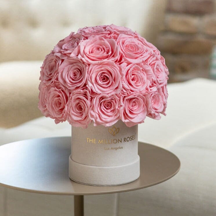 Essence Beige Suede Superdome Box | Light Pink Roses