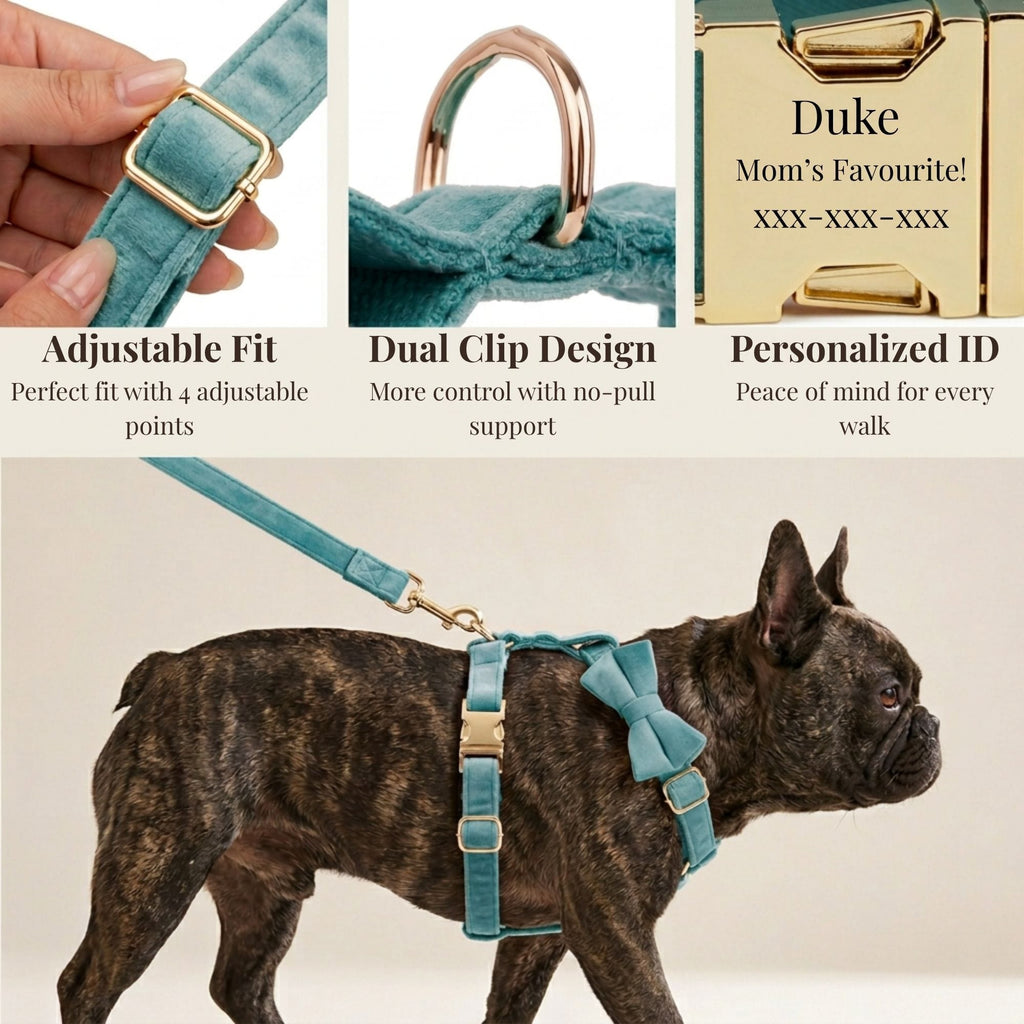 Teal dog harness with adjustable fit, dual clip design, and personalized ID tag on a beige background.