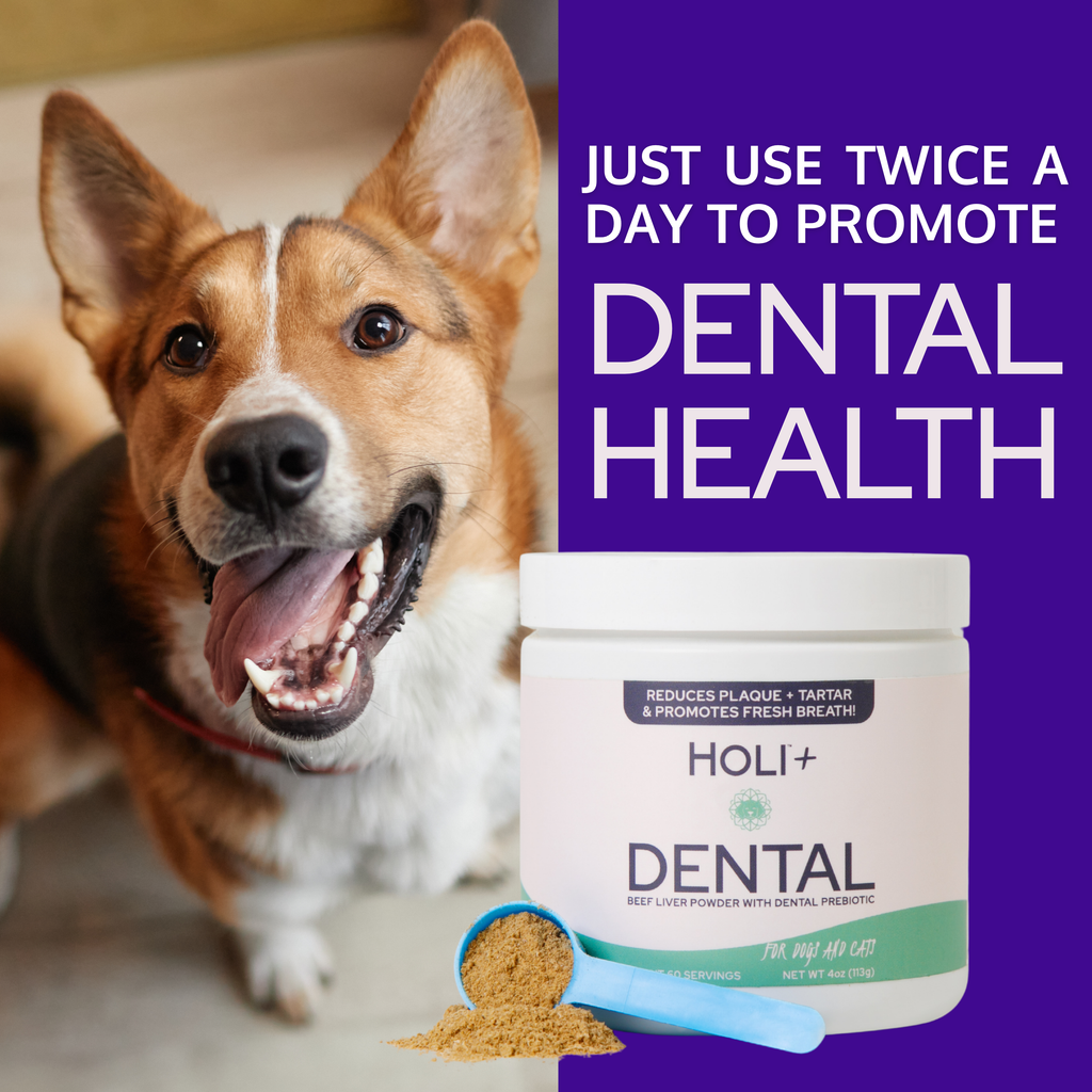 Complete Dental Health Bundle – Dental Topper + Salmon Skin Chews