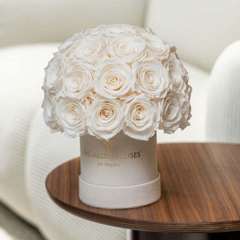 Essence Beige Suede Superdome Box | White Roses