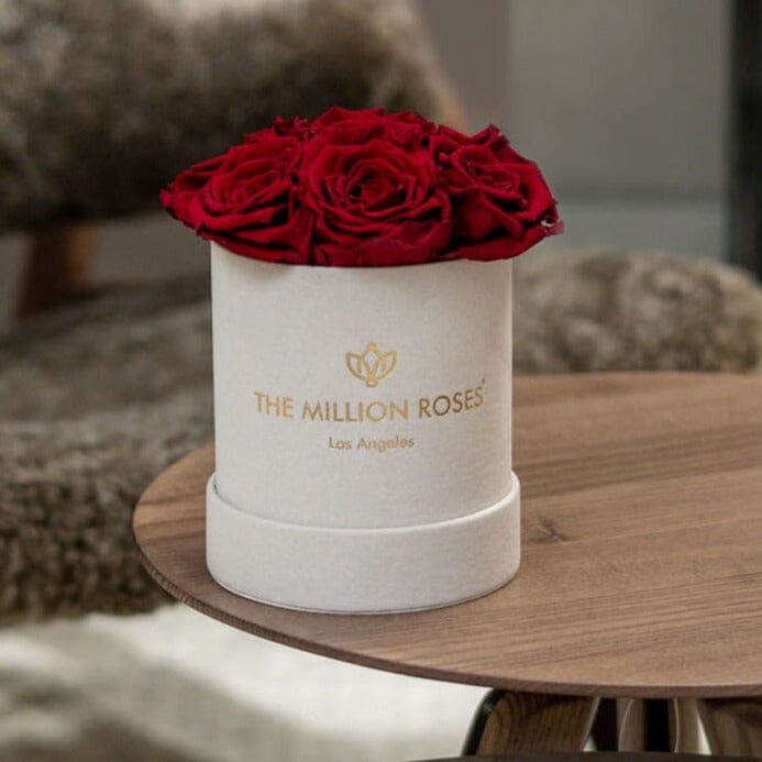 Essence Beige Suede Box | Red Roses