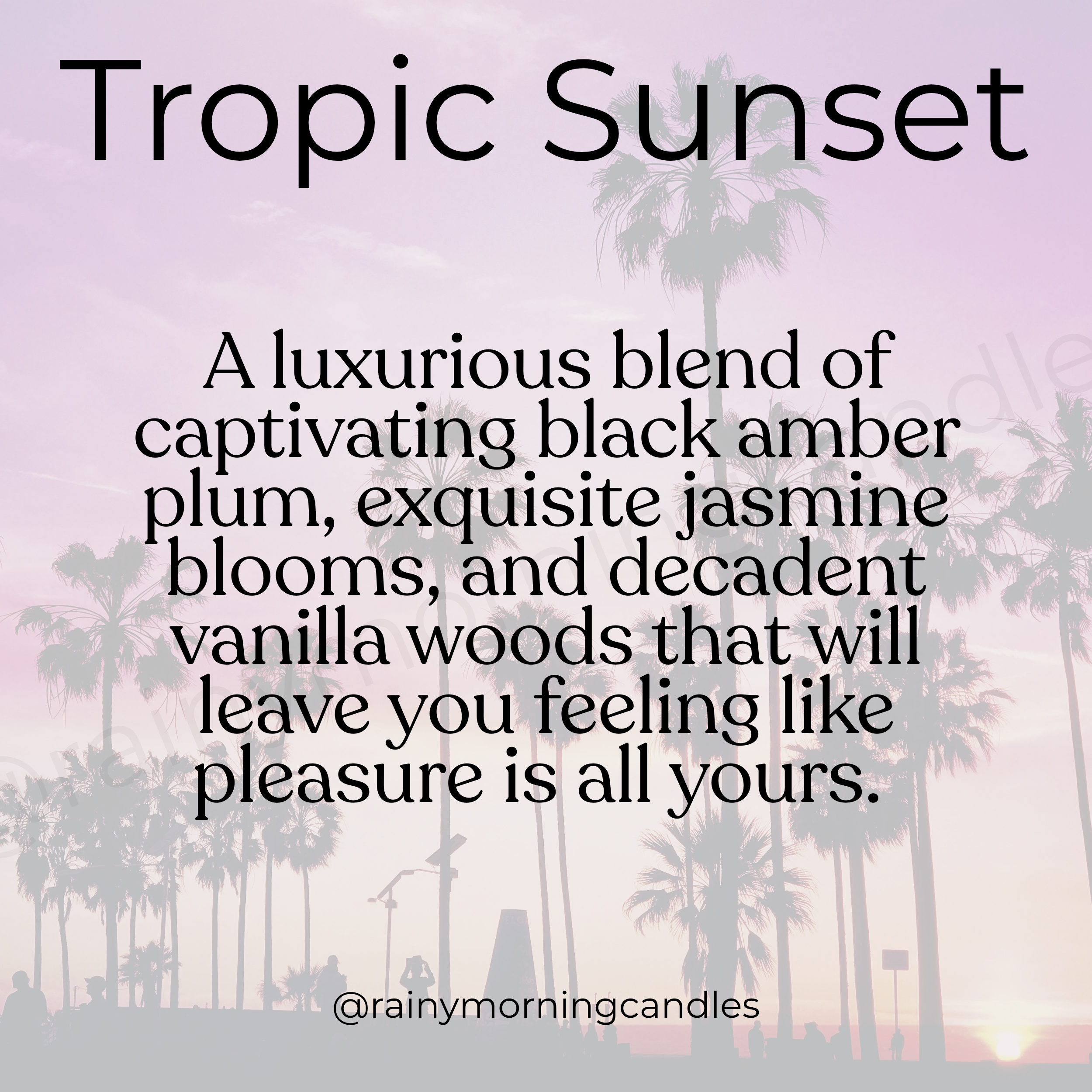 Tropic Sunset | Bom Dia Bright Cheirosa 40 Inspired Wax Melts