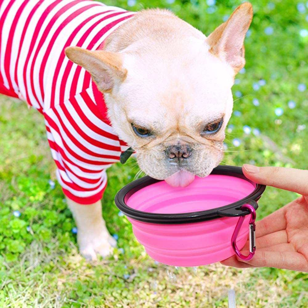 Dog wearing a red and white striped outfit drinking from a pink collapsible bowl held by a person outdoors. Lifestyle image advertising 5" Portable and Foldable Small Dog Bowl-Pink set of 5