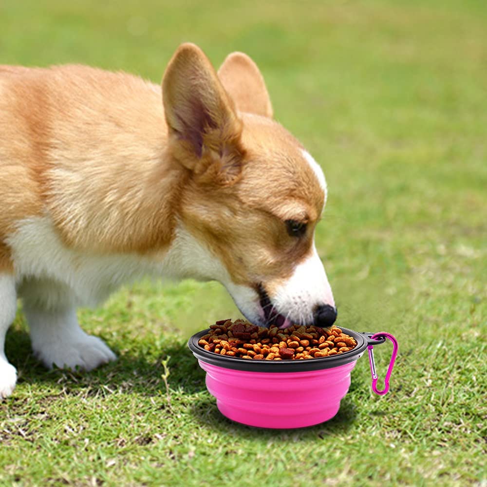 Dog eating from a pink collapsible bowl on grass. Lifestyle image advertising 5" Portable and Foldable Small Dog Bowl-Pink set of 5