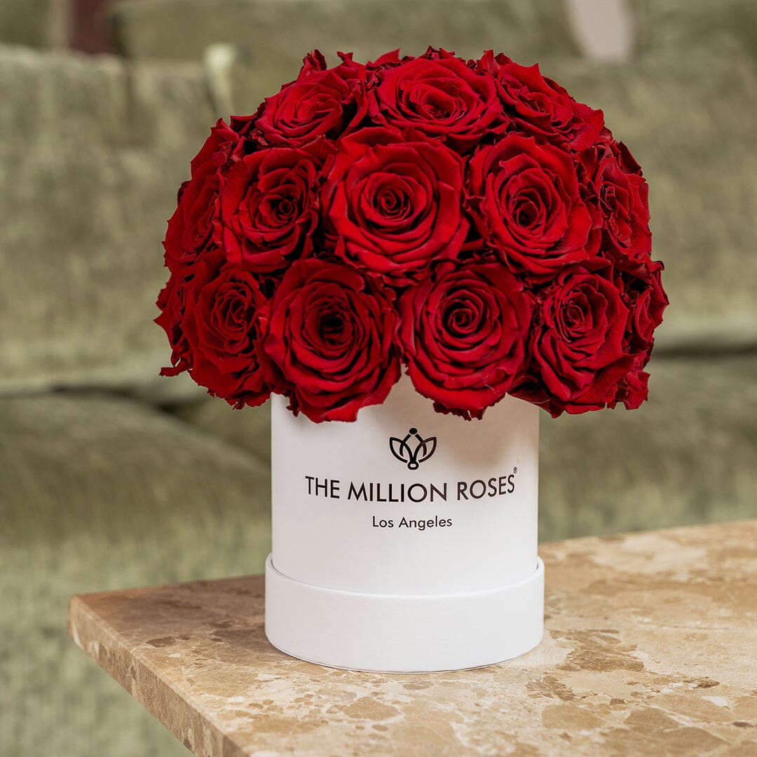 Essence White Superdome Box | Red Roses