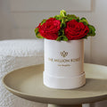 Essence Beige Suede Garden Box | Red Roses