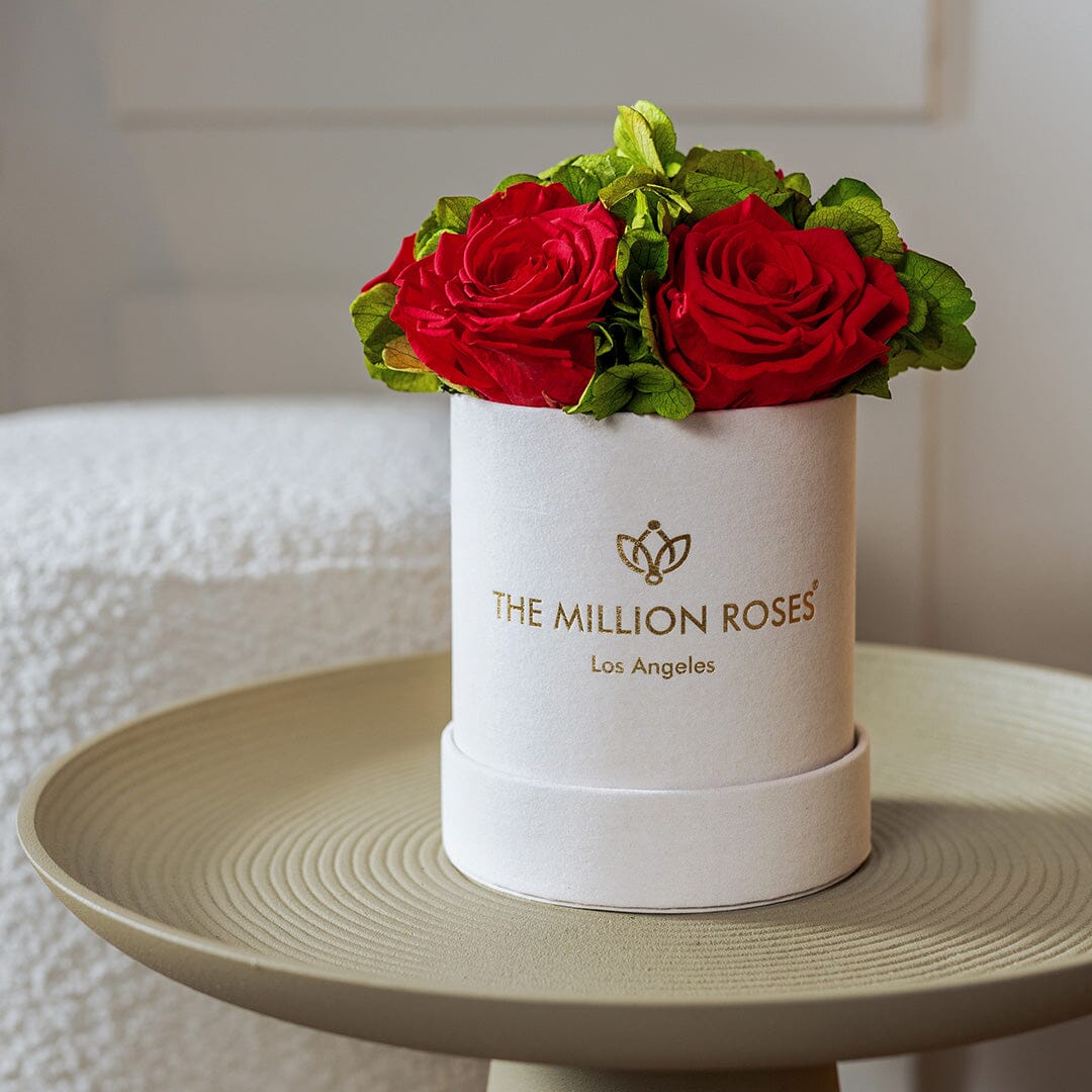 Essence Beige Suede Garden Box | Red Roses