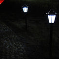 Two illuminated outdoor lamps on a grassy area at night.