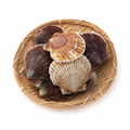 Yesso Scallops (Frozen 600g, 21.6oz, 5-7 pcs)