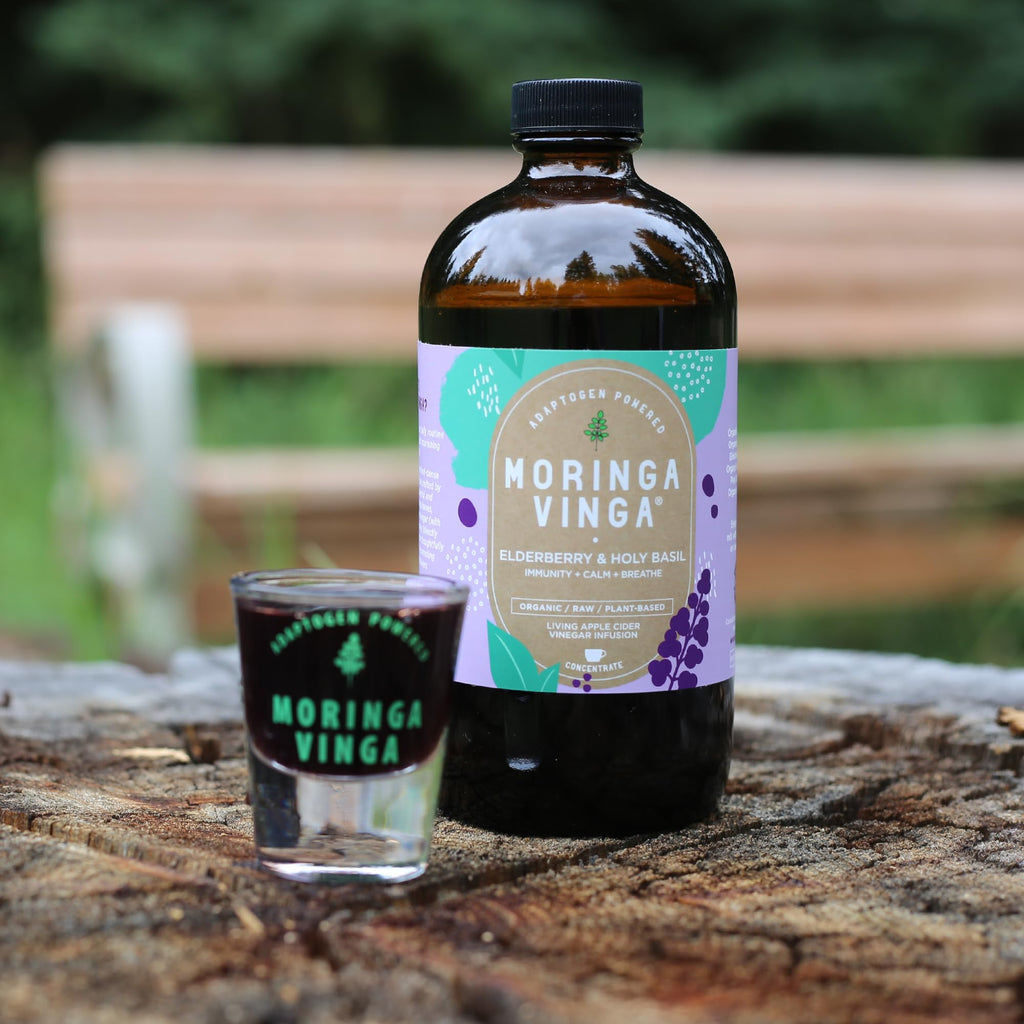 Adaptogen Powered Moringa Vinga Herbal Tonic with Apple Cider Vinegar – 32 oz