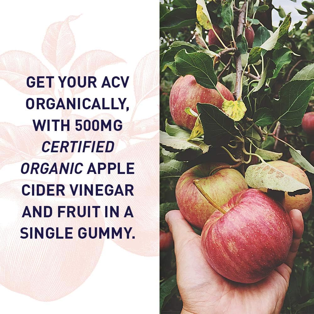 Garden of Life Organics Apple Cider Vinegar Gummies with Vitamin B12 – 500 mg, 60 Count