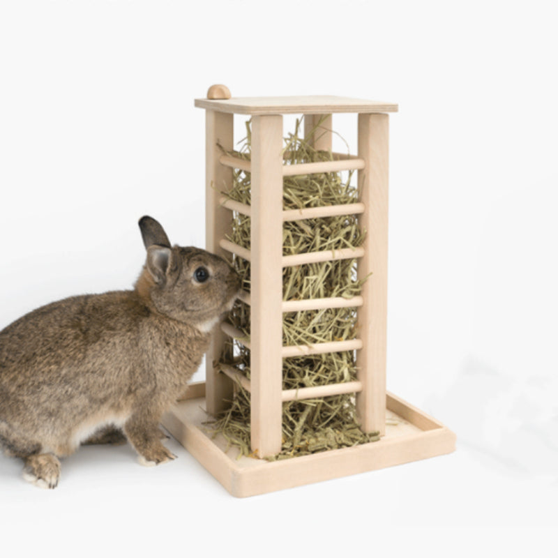 Small animal, likely a rabbit, interacting with a hay feeder on a white background