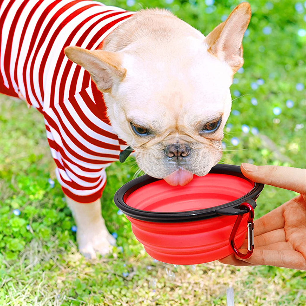 Dog wearing a red and white striped outfit drinking from a red collapsible bowl held by a person outdoors.