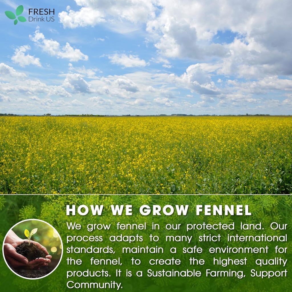 Premium Fennel Tea Bags, 100% Natural & Pure from Fennel Seeds. Fennel Seed Herbal Tea. Fennel Seed Tea. Made with Natural Material Tea Bags. No Sugar, No Caffeine, No Gluten, Vegan.