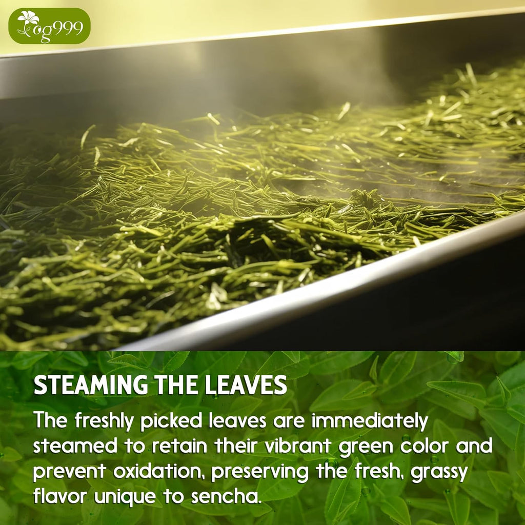 Premium Sencha Green Tea Bags, 100% Natural & Pure from Sencha Green Tea Leaves