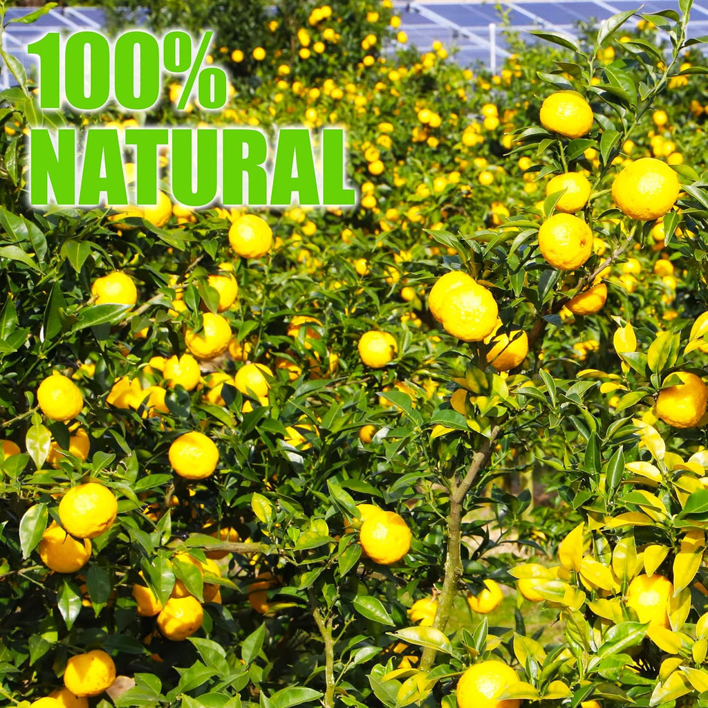 Yamasan Japanese Yuzu Vinegar – Yuzu Citrus Blend with Apple Cider Vinegar