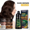 Hair Dye Shampoo 3 in 1 Black Dark Brown Hair Color Shampoo Gray Coverage Herbal Natural Plant Based Coloring Women Men