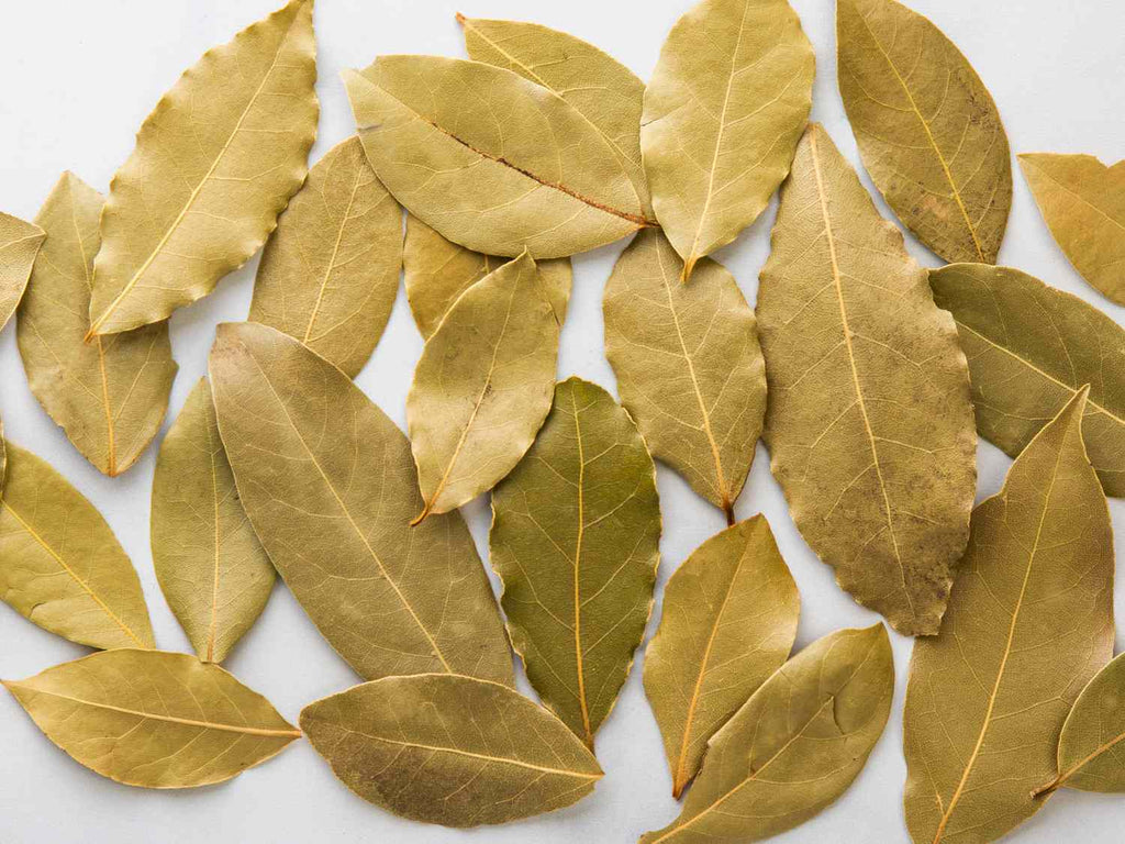 Dried Bay Leaves for Spells, Manifestation, Protection, Prosperity, Cleansing & Witchcraft Rituals – Moon Water Apothecary