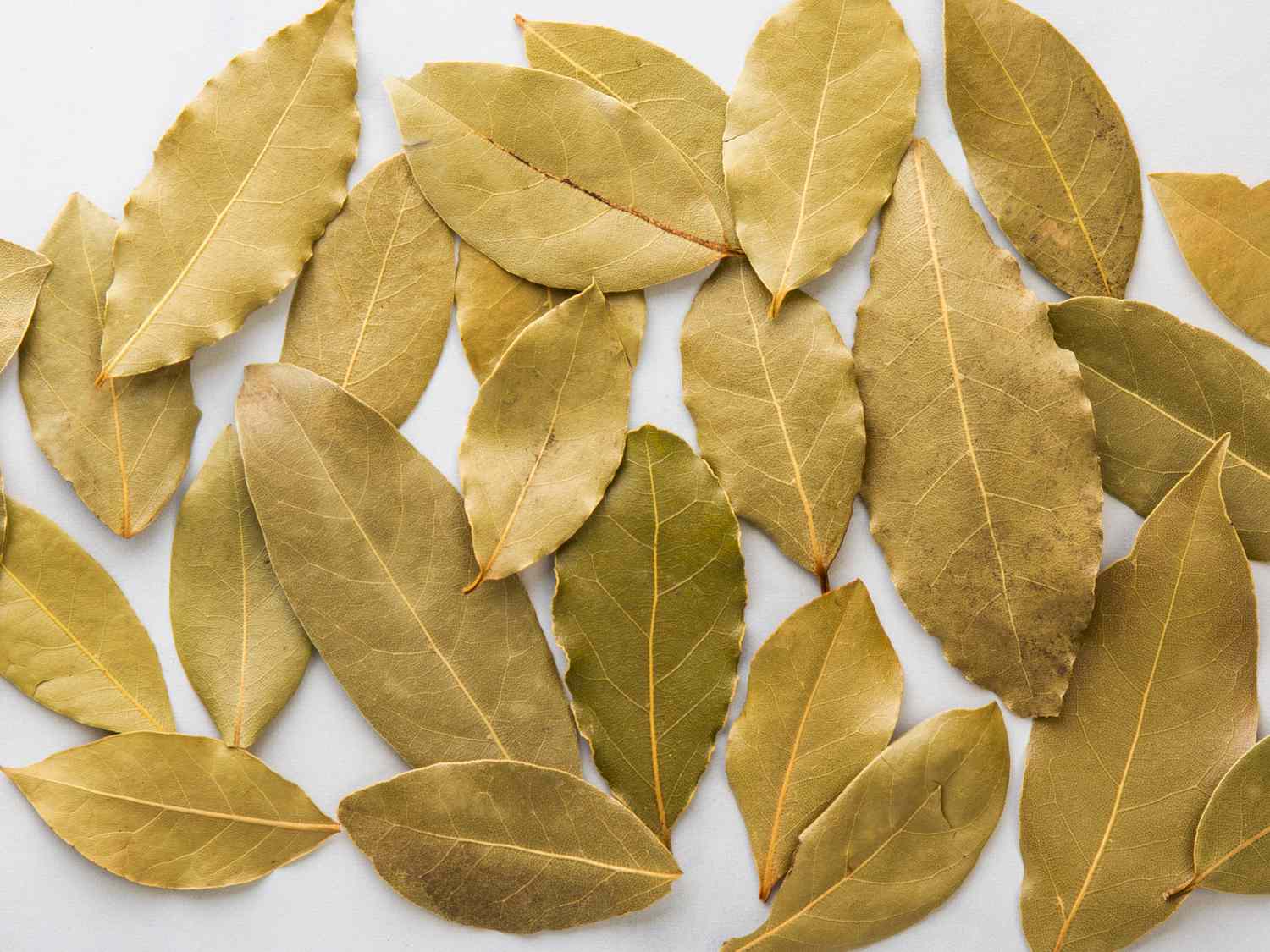 Dried Bay Leaves for Spells, Manifestation, Protection, Prosperity, Cleansing & Witchcraft Rituals – Moon Water Apothecary