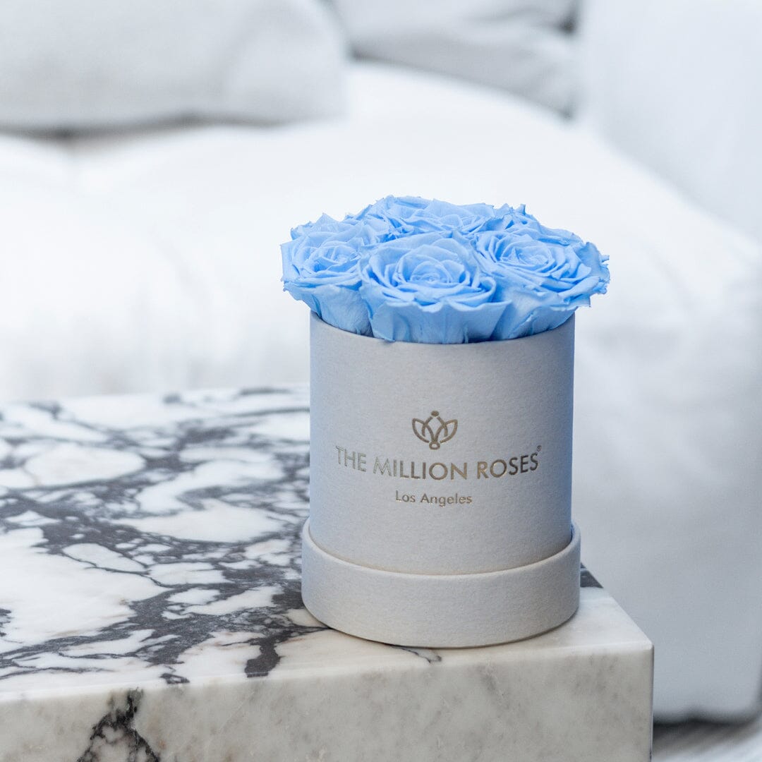 Essence Beige Suede Box | Light Blue Roses