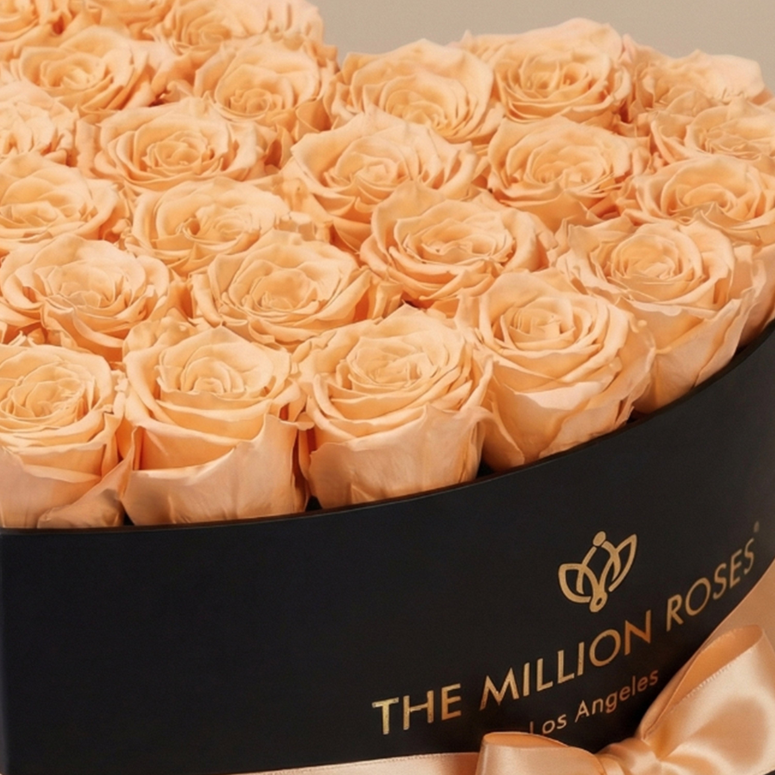 Heart Black Box | Peach Roses