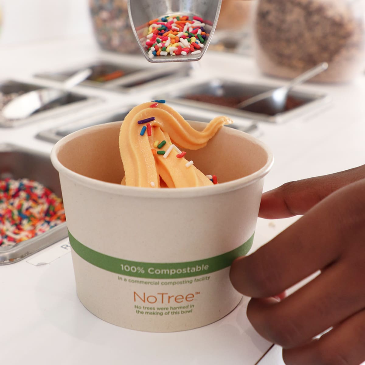 World Centric NoTree 16 oz Bamboo Paper Bowl – Compostable (QTY 500), SKU BO-SU-16