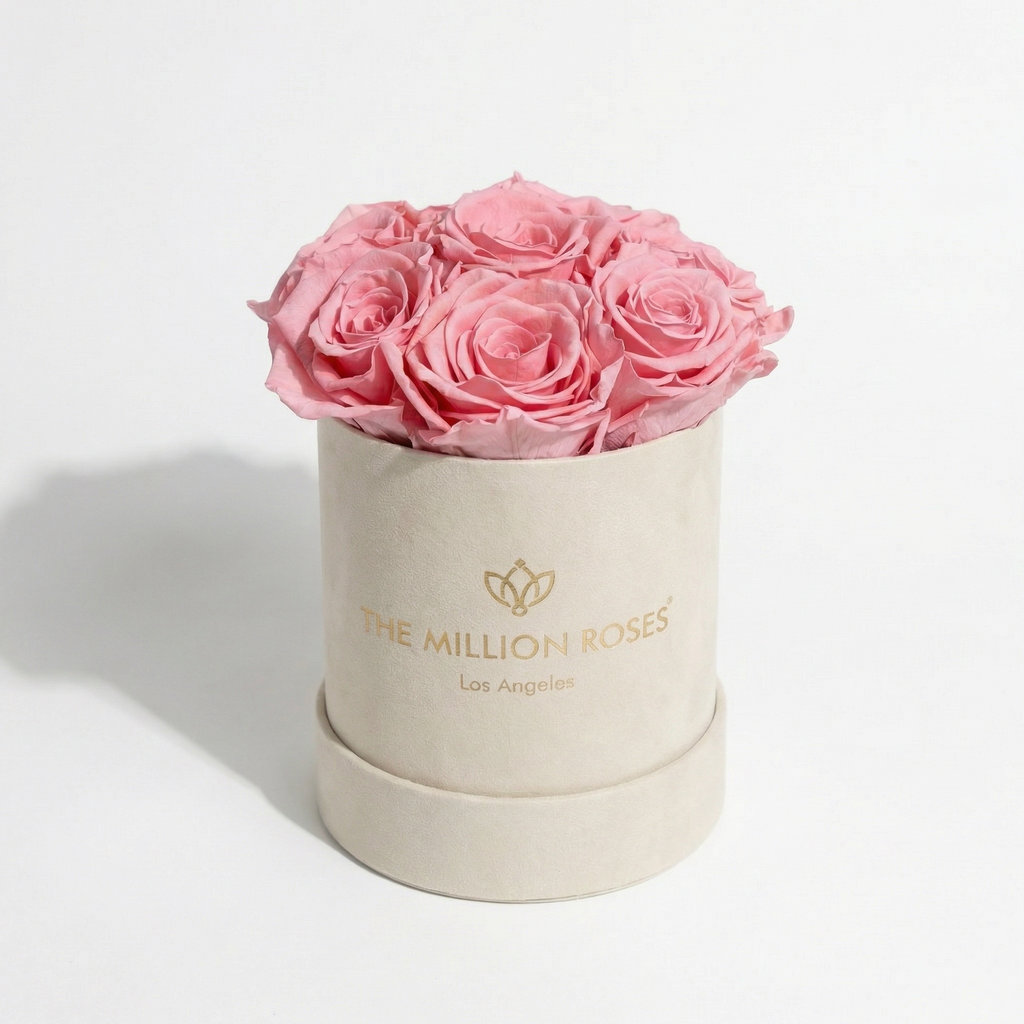 Essence Beige Suede Box | Light Pink Roses