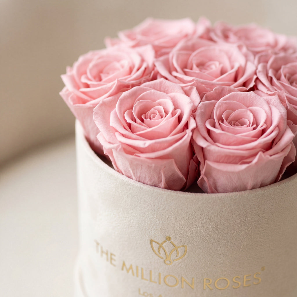 Essence Beige Suede Box | Light Pink Roses